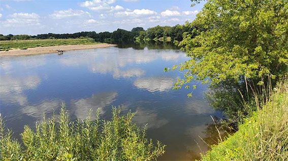 Быховчанин, купаясь в Днепре, попал в водоворот и утонул