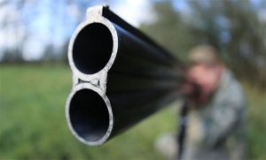 Летне-осенний сезон охоты открывается в Беларуси 12 июля