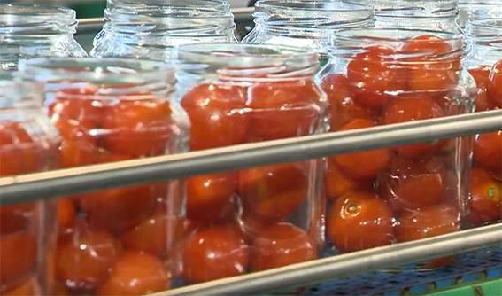На Быховщине возобновили производство овощной консервной продукции (видео)