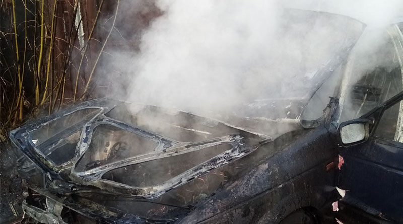 В Быхове горел автомобиль