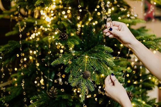 Как ухаживать за новогодней елкой