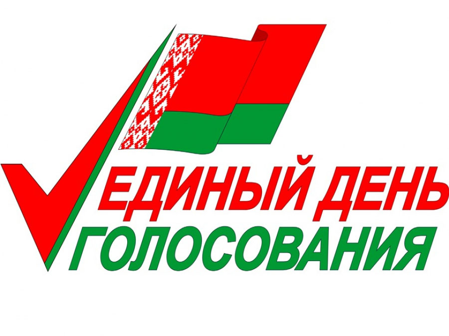 Сведения об итогах выборов Могилевского областного Совета депутатов двадцать девятого созыва