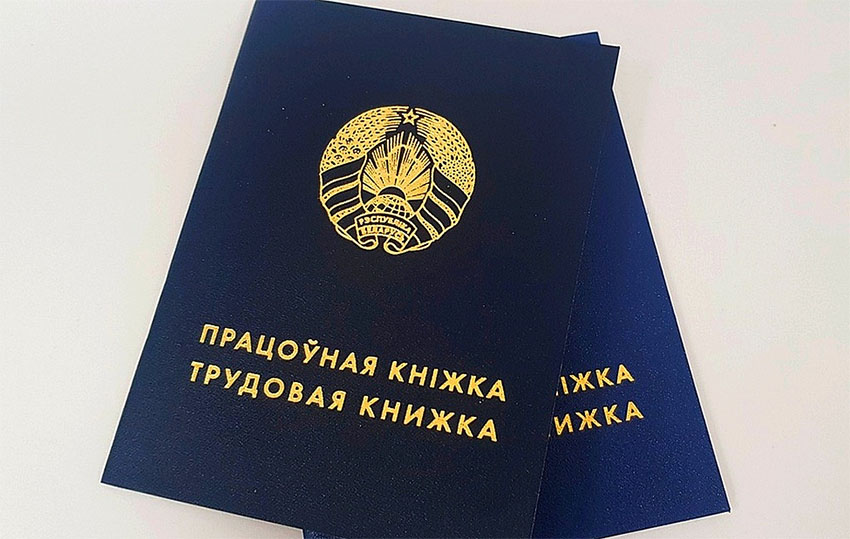 “Поддержка безработных и молодежи”. Правительство расширило возможности содействия в трудоустройстве