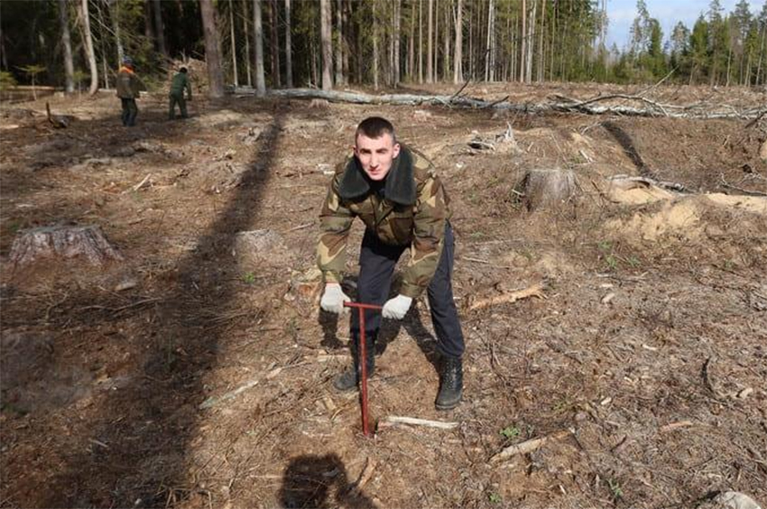 Работники Быховского РОЧС присоединились к добровольной акции «Неделя леса – 2024»