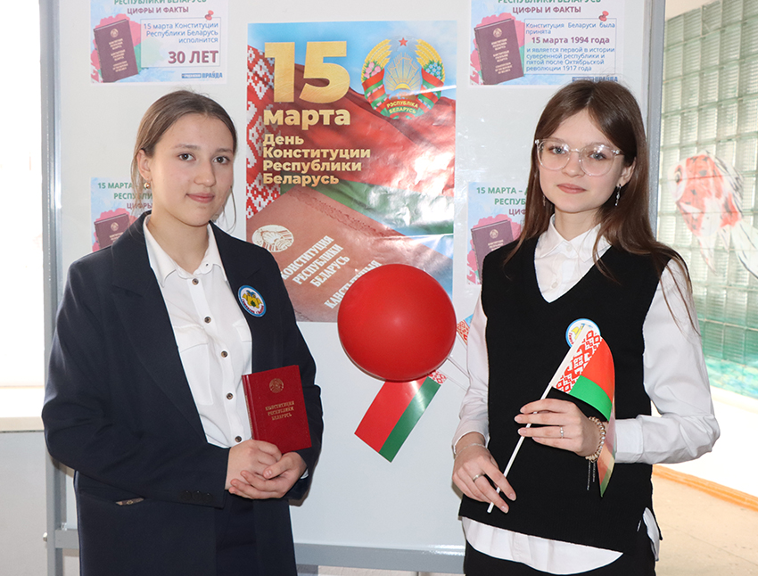 В гимназии г.Быхова прошел классный час, посвященный 30-летию Конституции Республики Беларусь