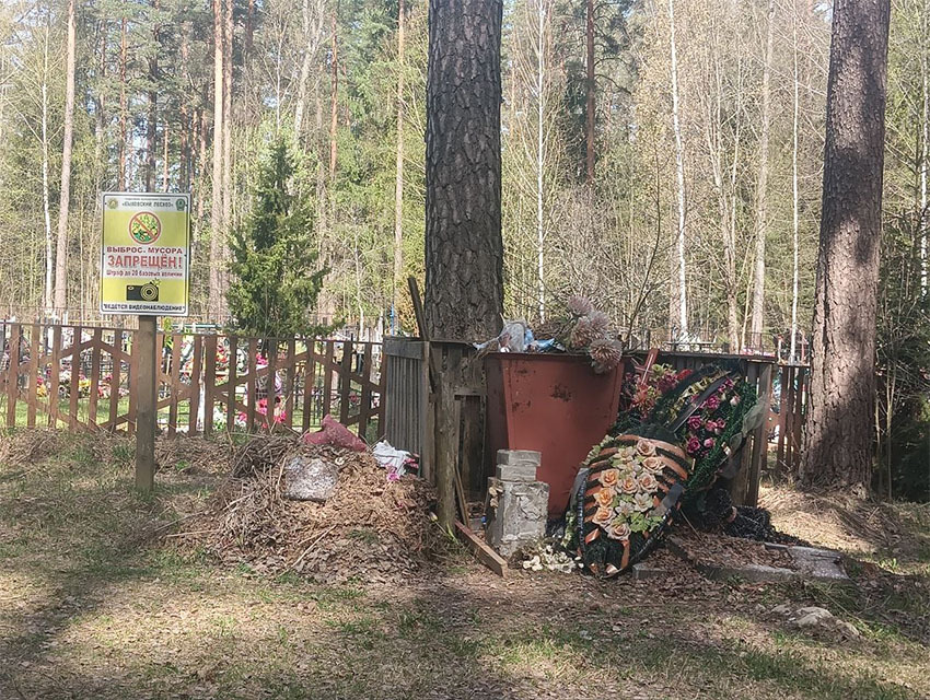 Кладбище в д. Воронино Быховского района