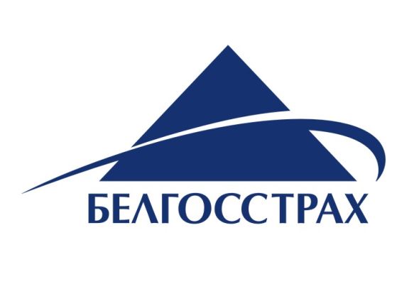 Стихия ударила по имуществу? Белгосстрах объясняет, как быстро получить компенсацию за ущерб