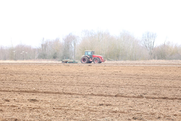 В Беларуси засеяно 40% площадей яровых культур