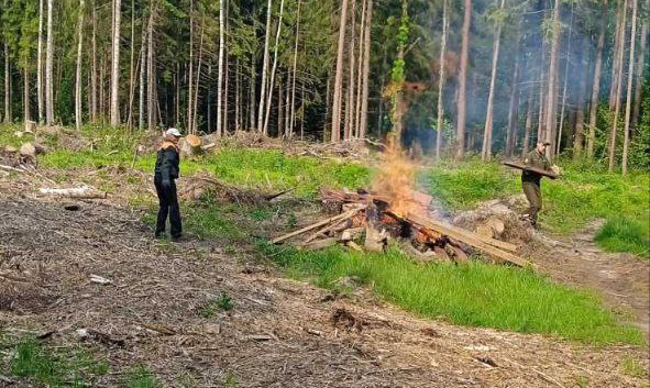 В Год благоустройства новая экотропа появится в Быховском лесхозе