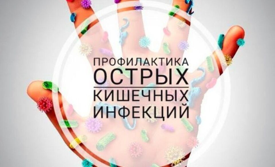 Профилактика кишечных инфекций во время отдыха на природе