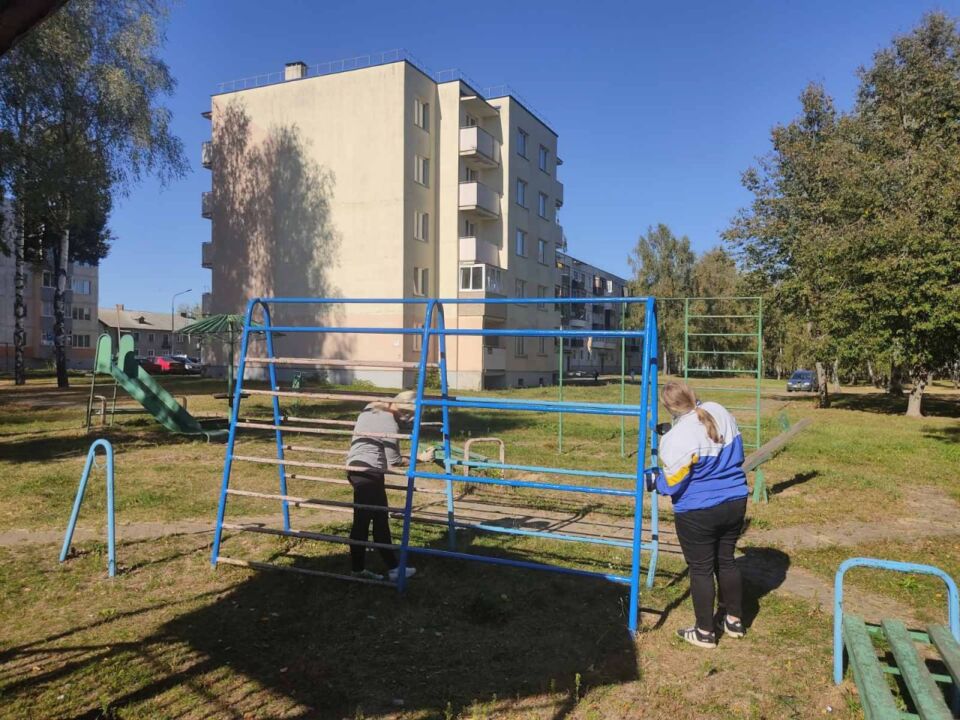 На Быховщине продолжается акция «Чистый двор – комфортная жизнь».