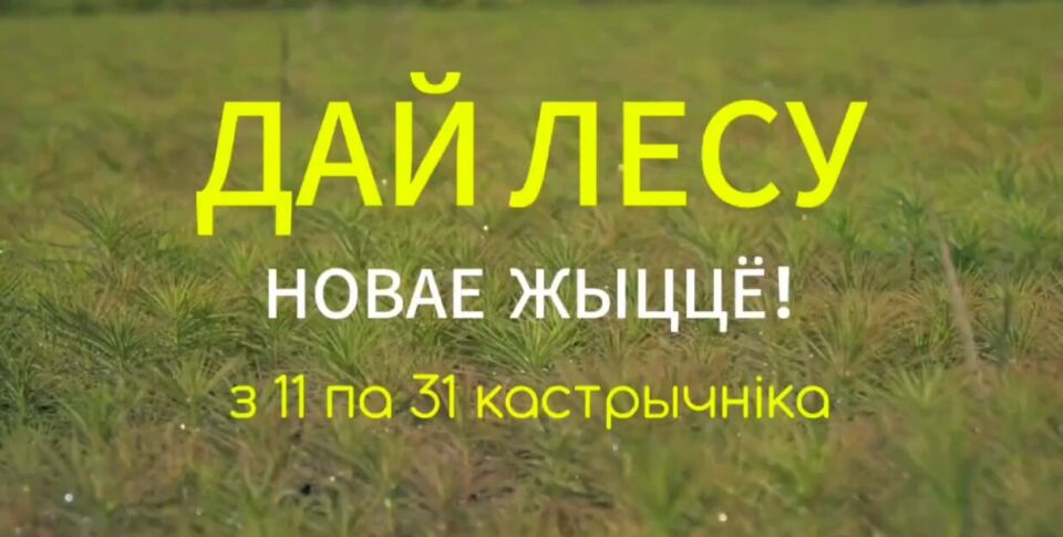 Акция «Дай лесу новае жыццё!»