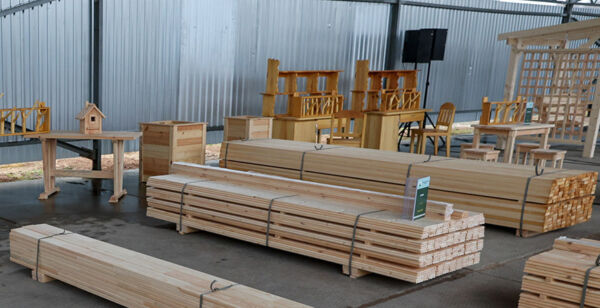 Лукашенко поручил тиражировать в Беларуси небольшие производства по переработке древесины