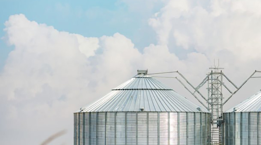 В Зимбабве запустили умные зернохранилища с искусственным интеллектом