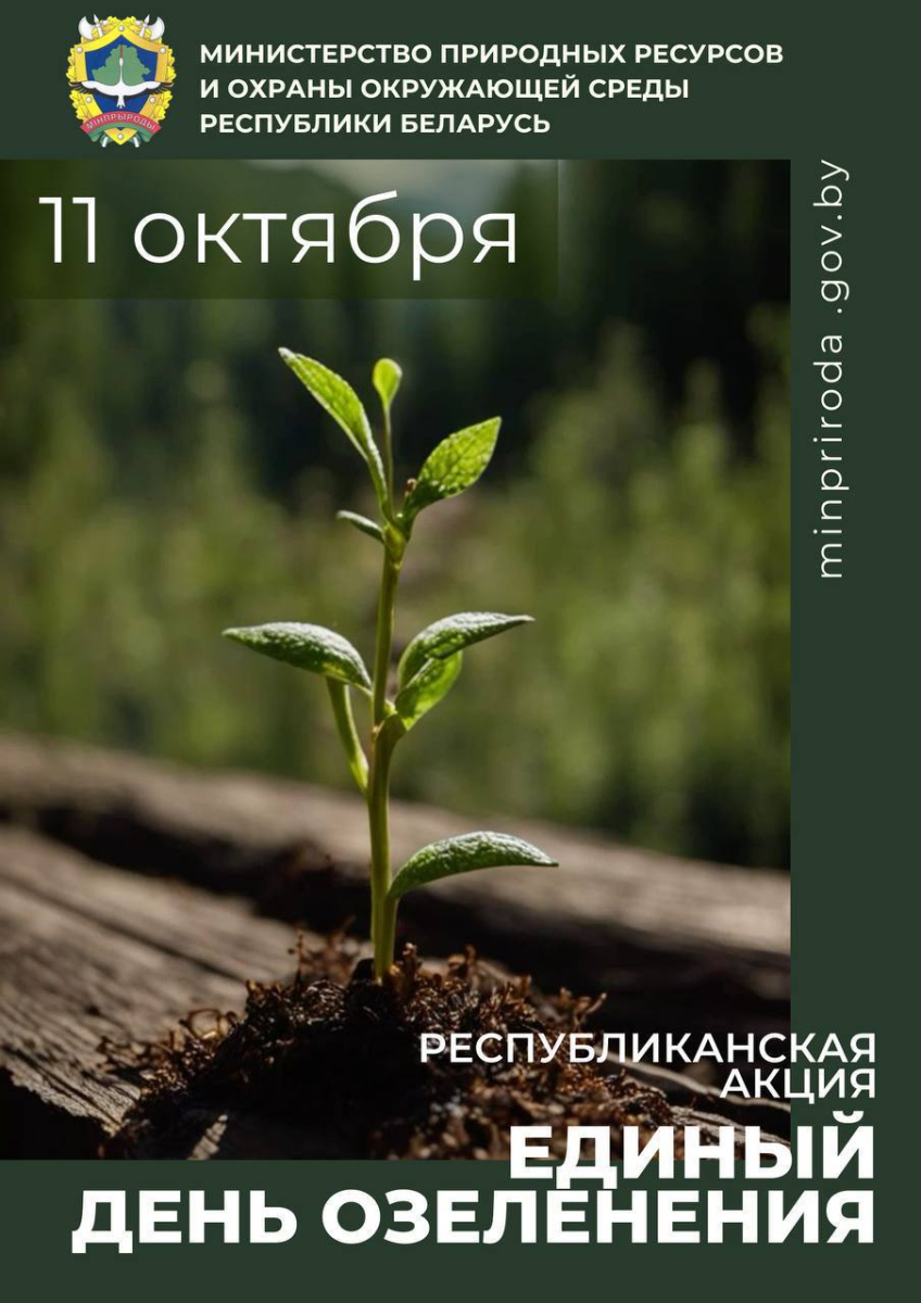 11 октября на Быховщине пройдет Единый день озеленения