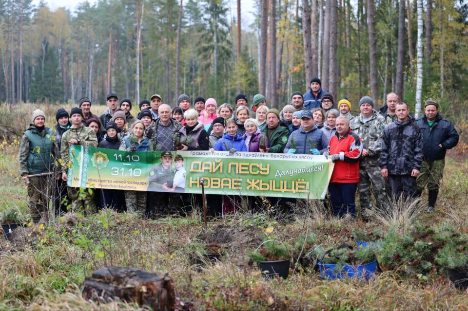 В Быховском районе прошла акция «Дай лесу новае жыццё!»