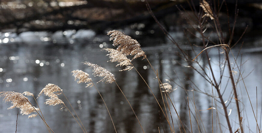На реках Беларуси ожидается рост уровней воды