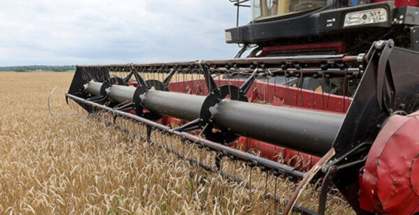 Свыше 10,2 млн тонн зерна с учетом рапса и кукурузы намолотили в Беларуси