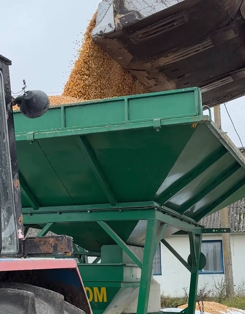 Уборка урожая и подготовка почвы в ОАО «Обидовичи»