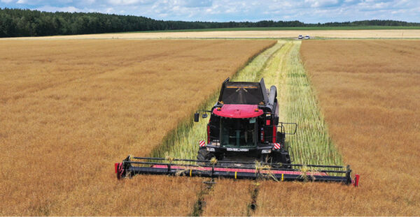 «Сработали лучше, чем прежде». Лукашенко озвучил важные выводы тяжелого сельскохозяйственного года