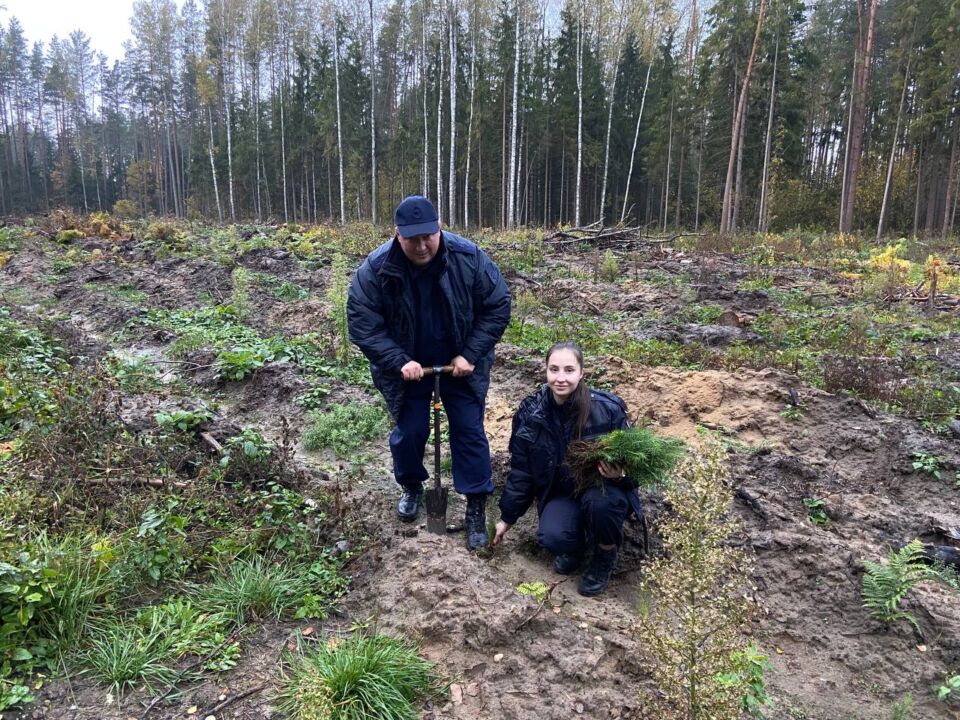 Коллектив прокуратуры Быховского района принял участие в акции по восстановлению леса