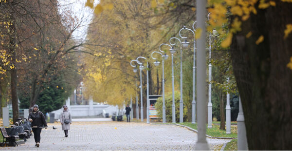 Зима близко? В Беларуси похолодает к концу недели