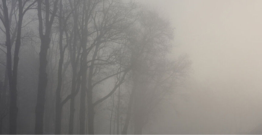 МЧС предупредило о факторах опасности при тумане и сильных осадках