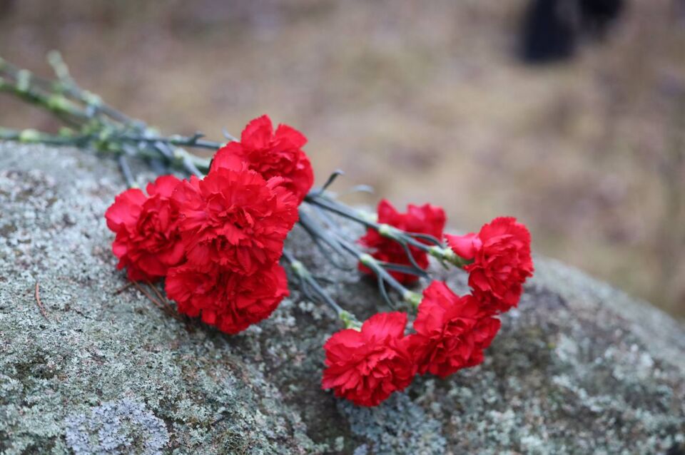 Молодежь Быхова почтила память жертв геноцида