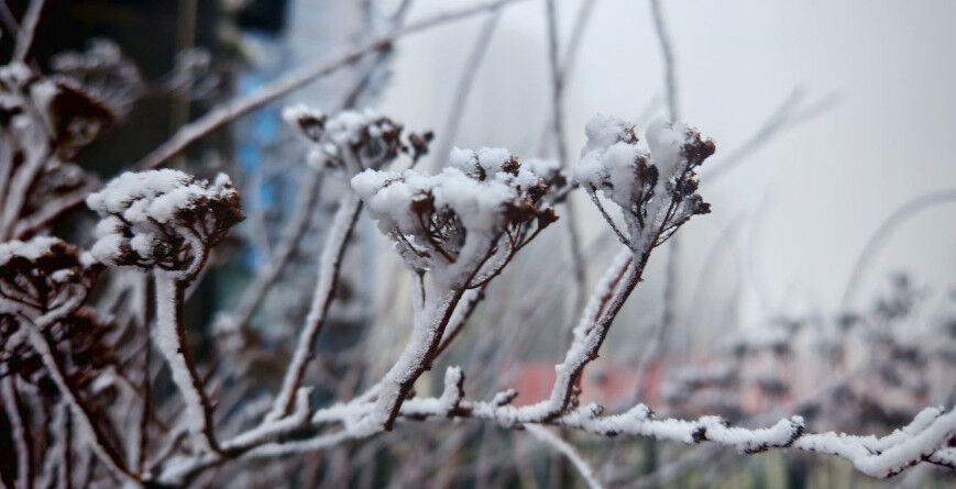 В Беларуси 20 декабря объявлен оранжевый уровень опасности из-за тумана