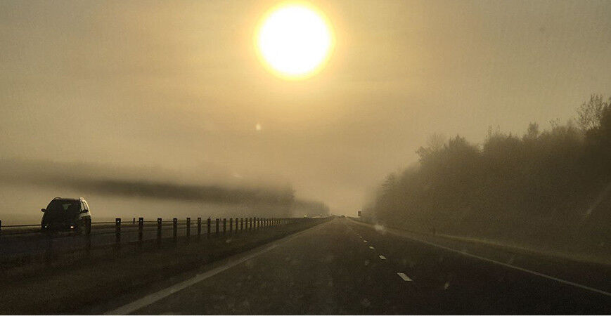 Туман и гололедица ожидаются сегодня в Беларуси