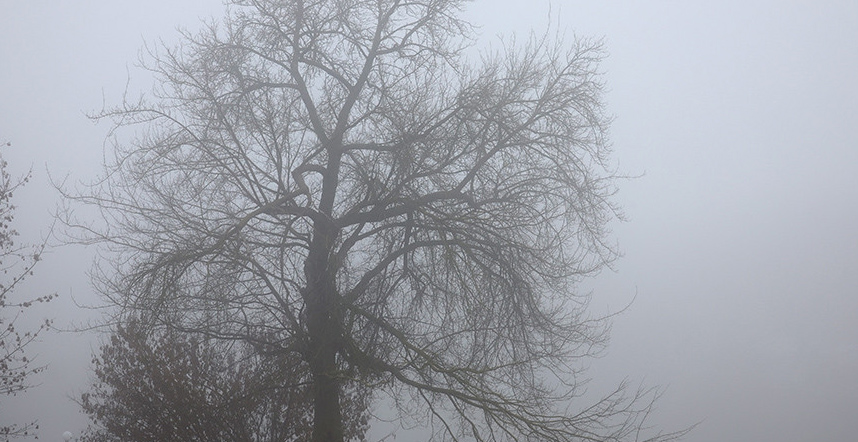 Дождь, мокрый снег и гололед. Какой будет погода в Беларуси в первый день зимы