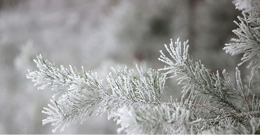 Когда в Беларуси ждать первых ощутимых зимних морозов, рассказали синоптики 