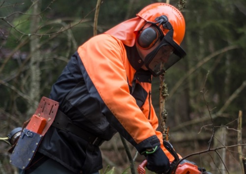Охрана труда: что обязан делать каждый работник для своей безопасности