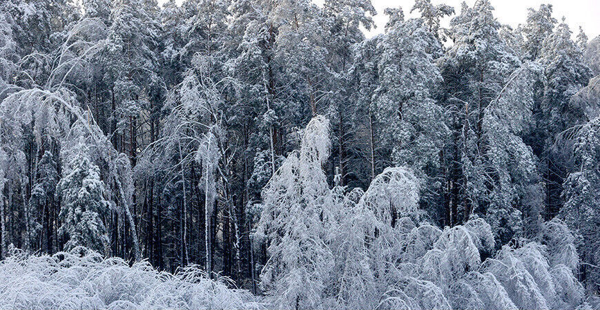 Оранжевый уровень опасности: в Беларуси ожидаются морозы до -30°C