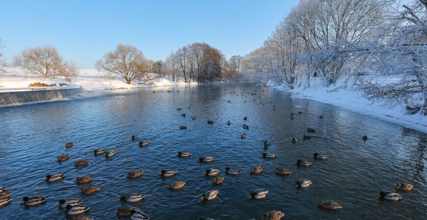 Еврозима — только на юго-западе: Белгидромет рассказал, когда отступят морозы