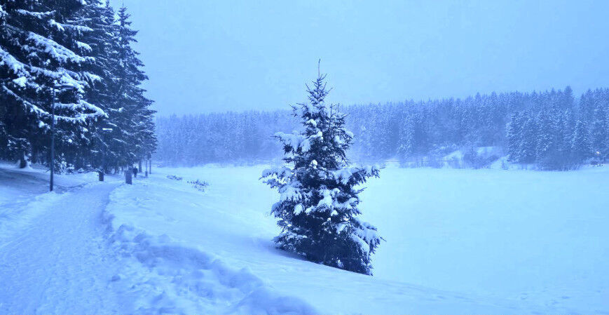 Снег, туман и гололедица ожидаются сегодня в Беларуси