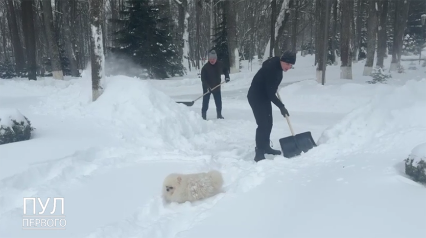 Лукашенко с лопатой вышел на расчистку снега. ФОТОФАКТ