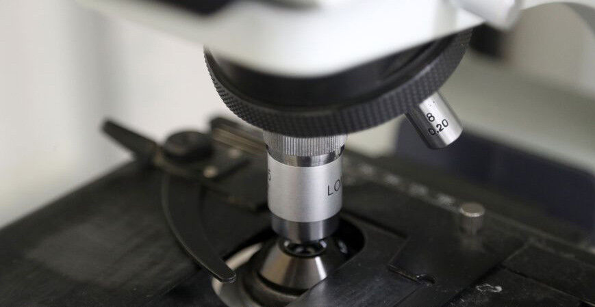 Белорусские и российские учёные займутся разработкой клеточной терапии рака в рамках Союзного государства