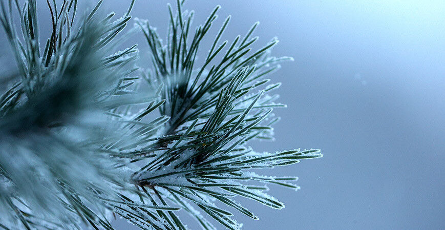 Почему зимой воздух кажется грязнее: объяснение синоптиков