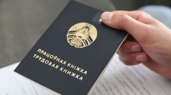 Свободный диплом: как уволиться с отработки за задержку зарплаты