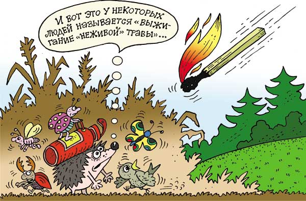 палы травы весной