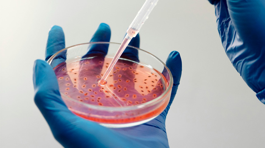 Онколог объяснил когда проводят профилактическую мастэктомию