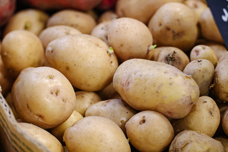 Сколько овощей заготовят в Беларуси на межсезонье 2026/2027