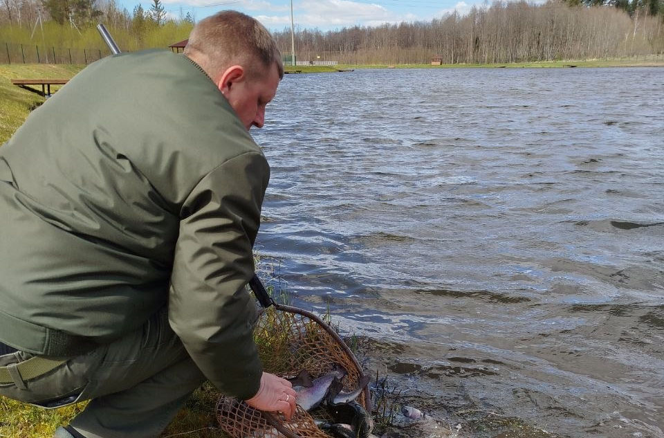 В Чигиринское водохранилище выпустили 9 тонн рыбы