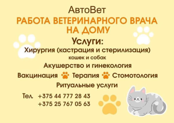 Ветеринарные услуги на дому в Быхове