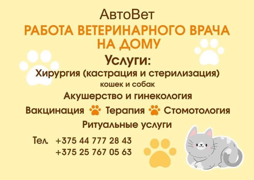 Ветеринарные услуги на дому в Быхове