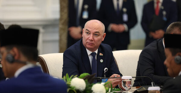 Сотрудничество Беларуси и Индонезии: развитие медицины и образования