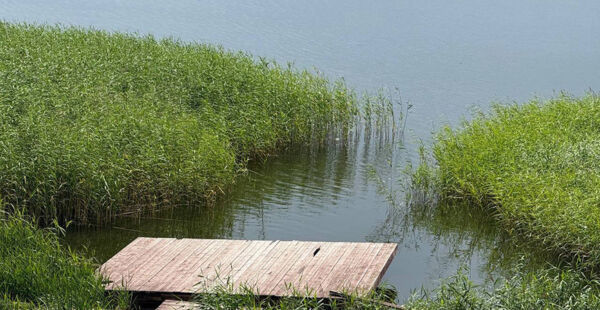 Уровень воды в реках Беларуси: прогноз понижения на ближайшие дни