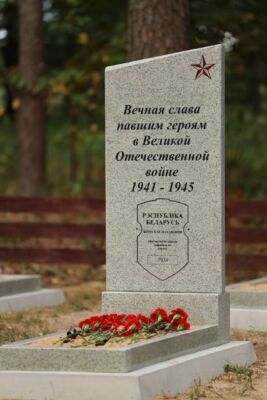 На Быховщине открыли обновленный мемориал «Защитникам Быховщины от благодарных потомков»