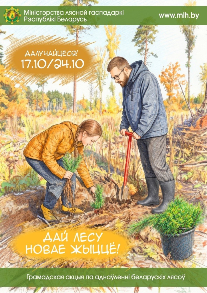 Республиканская акция «Дай лесу новае жыццё!» пройдёт с 17 по 24 октября